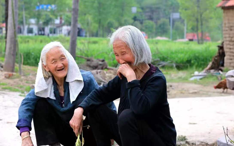 图片2_副本