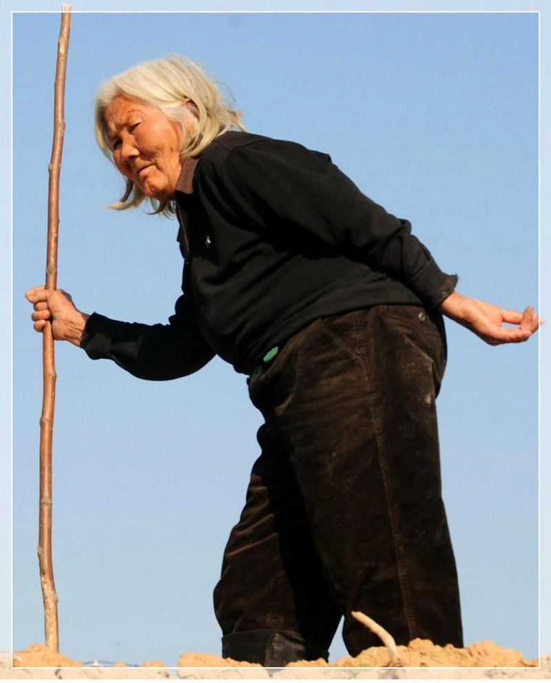 图片7_副本