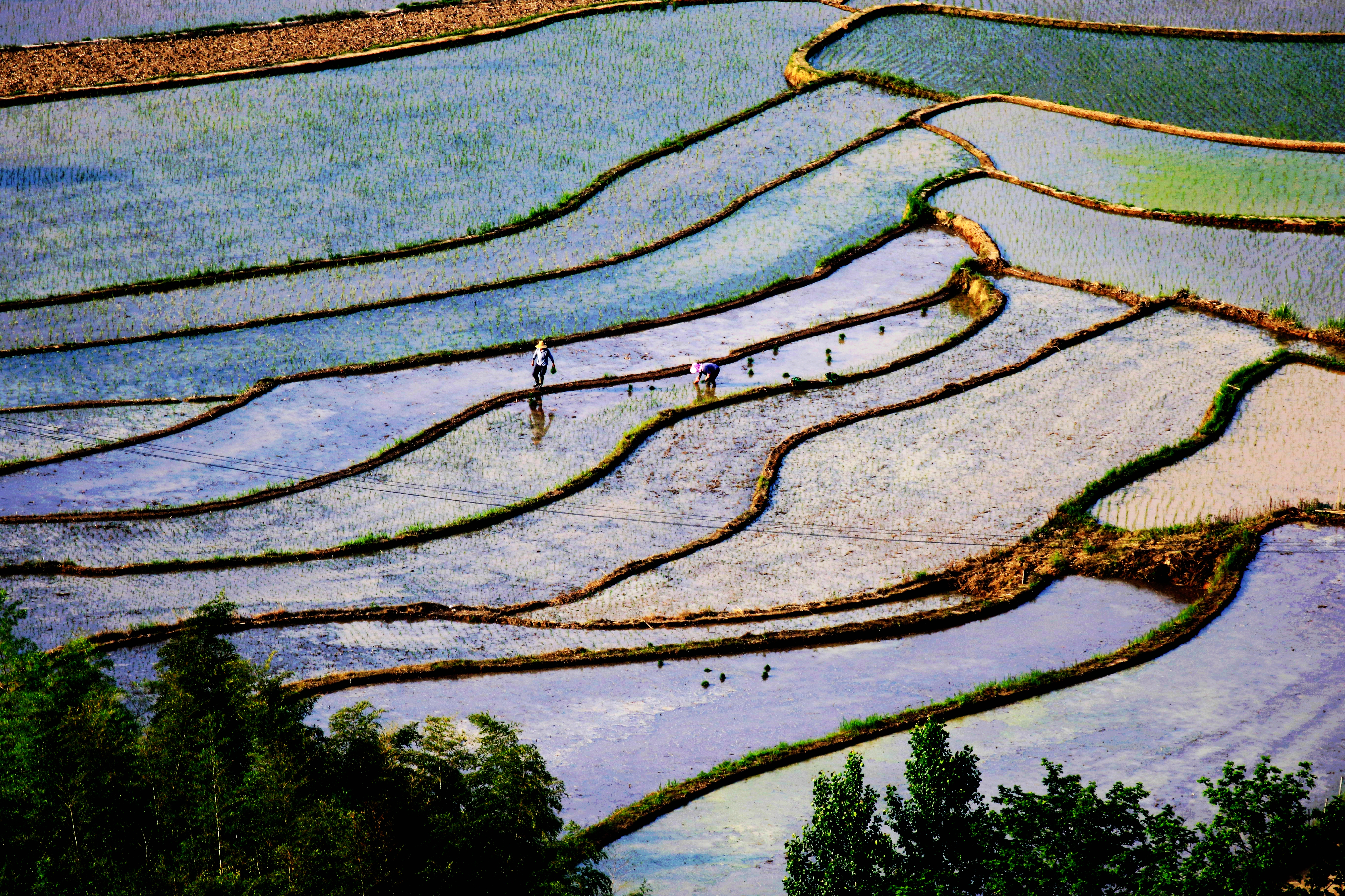 微信图片_20200519110038