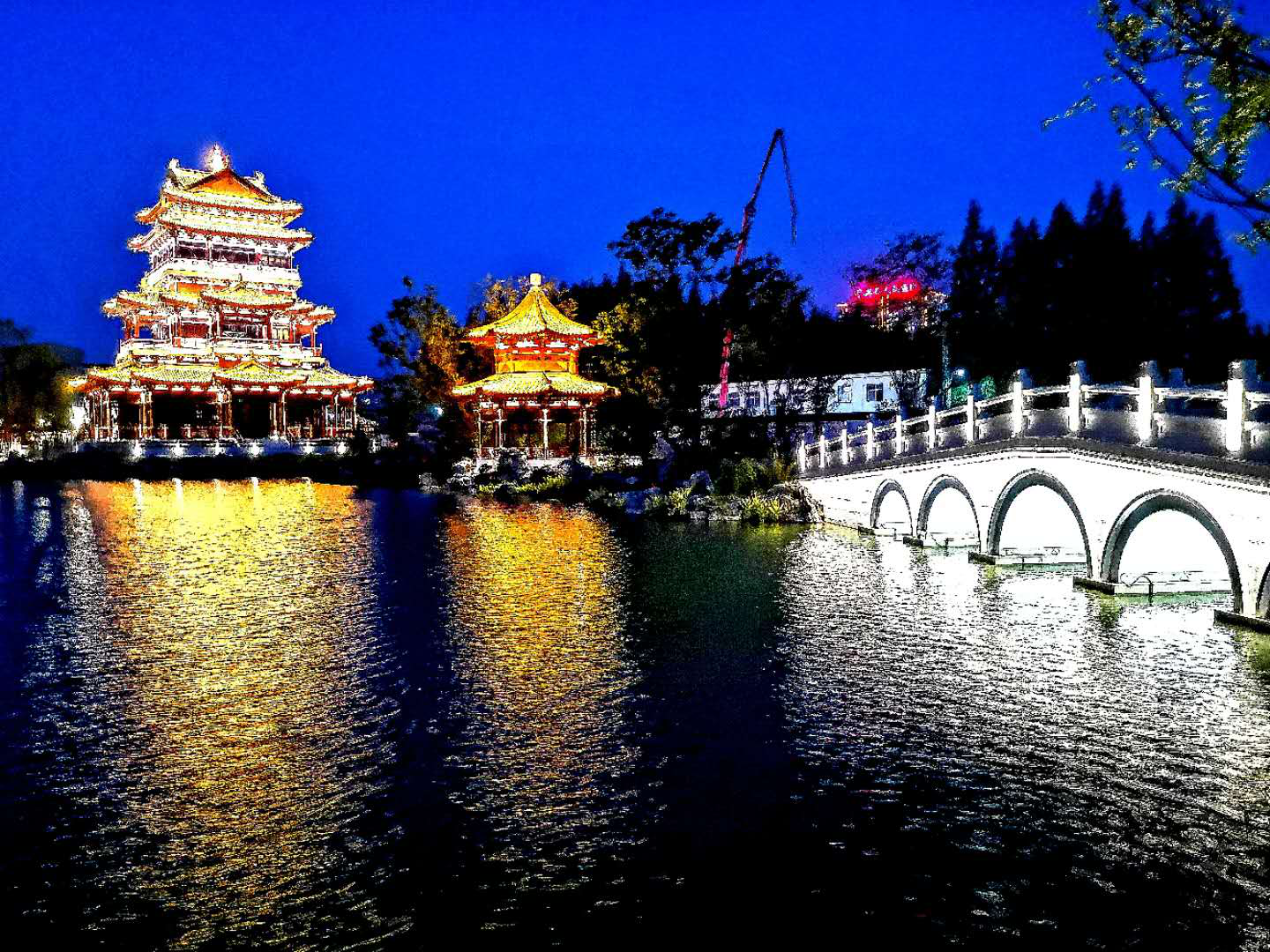 图片11