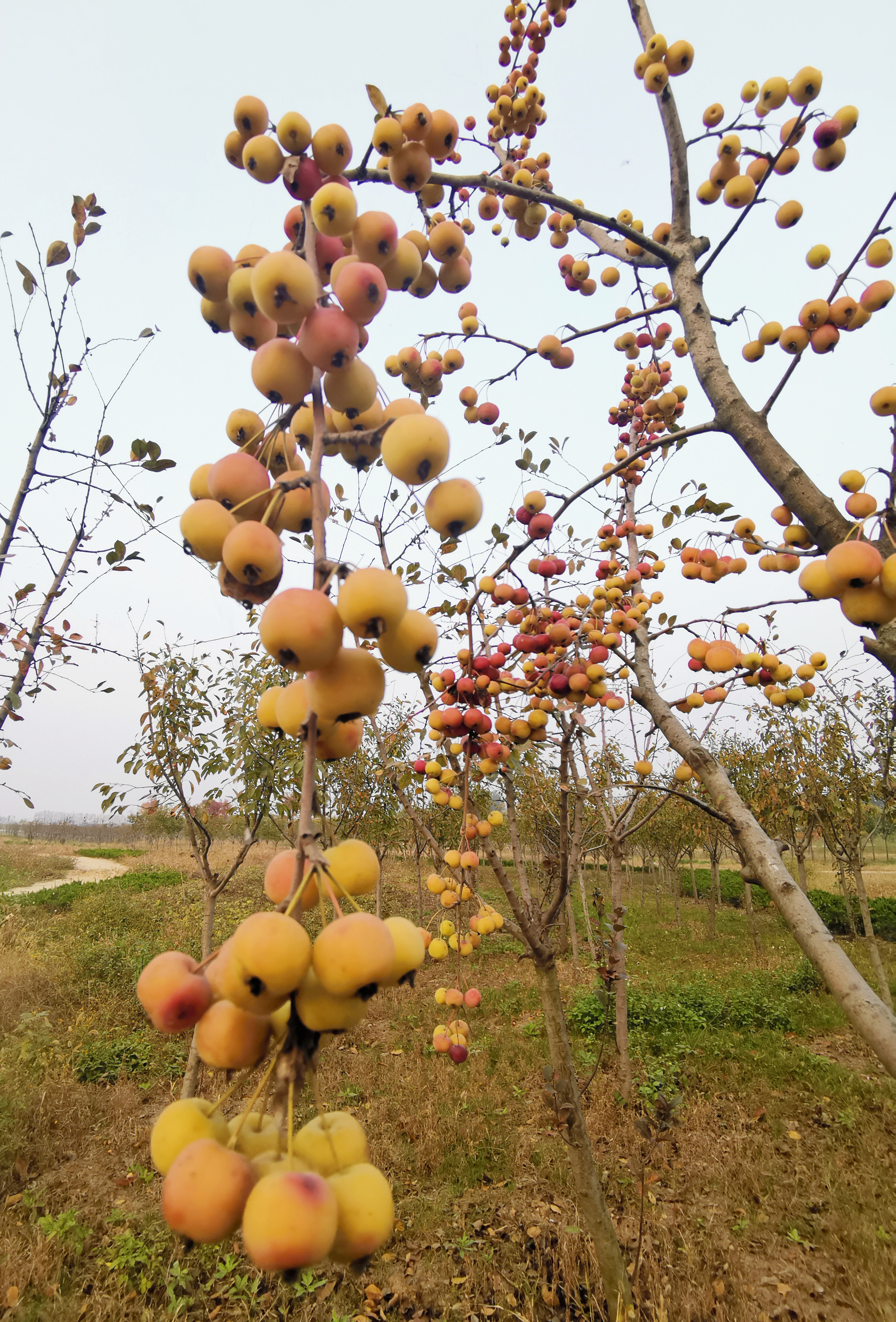 微信图片_20201030160007