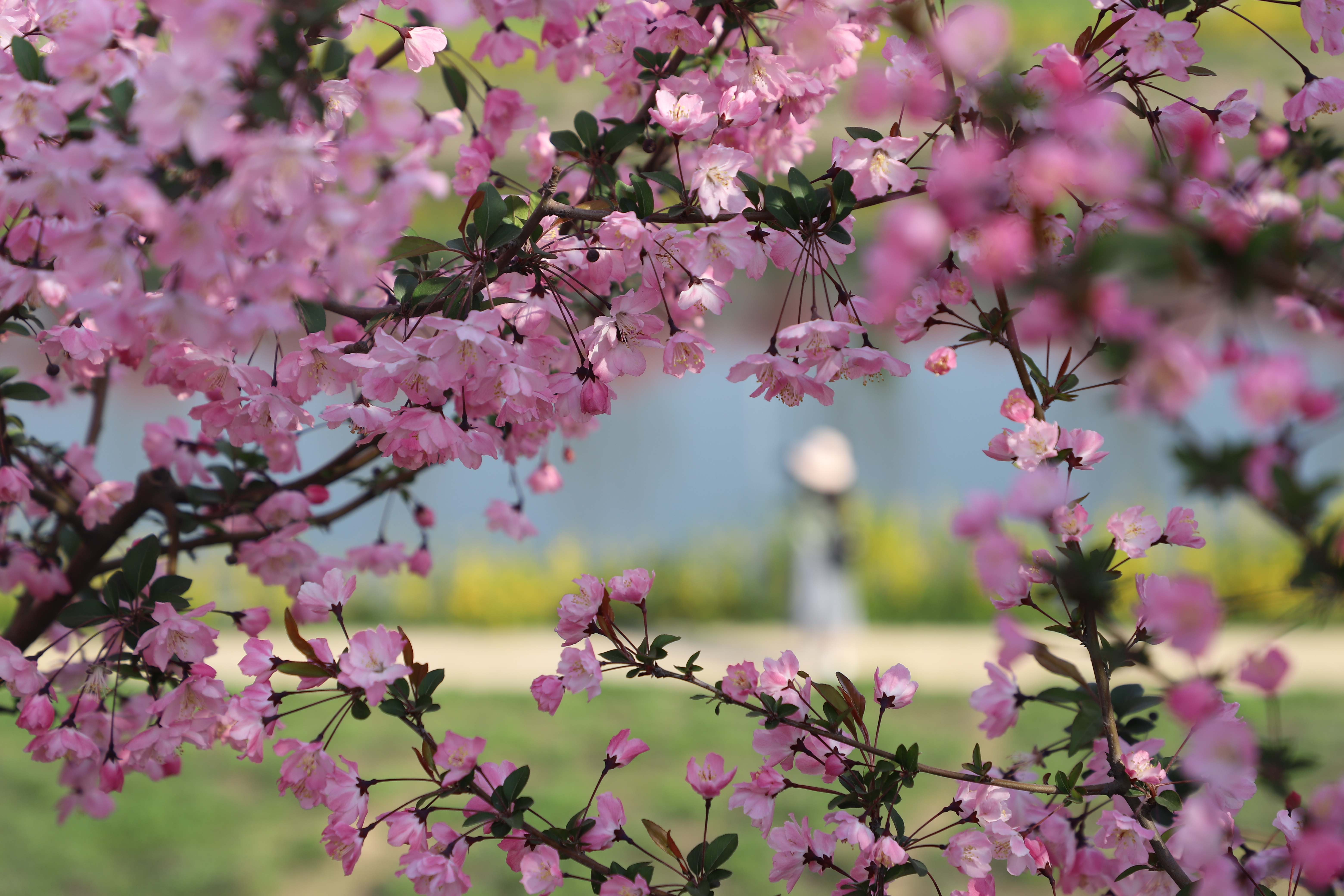 微信图片_20201030155959