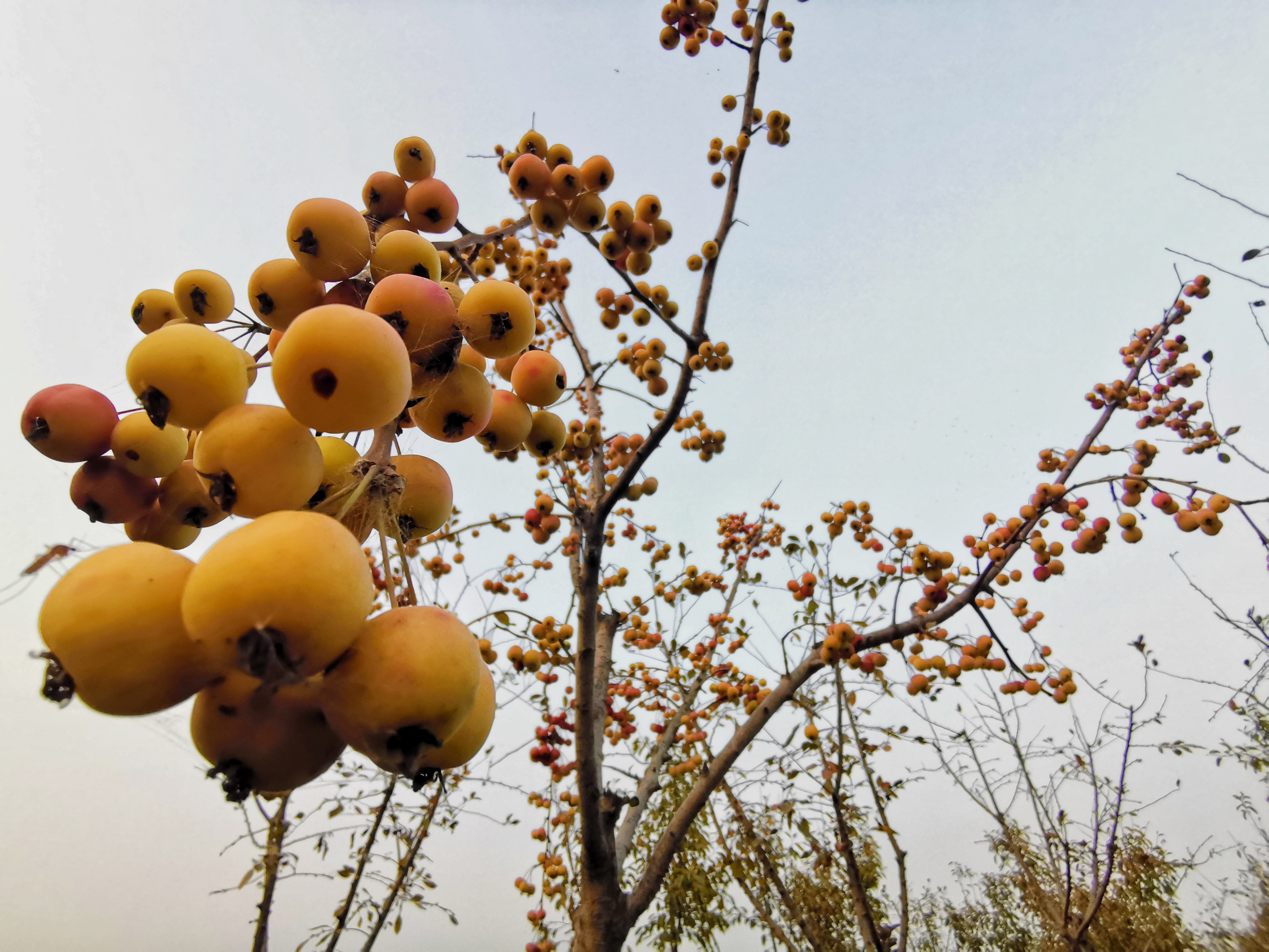 微信图片_20201030160031