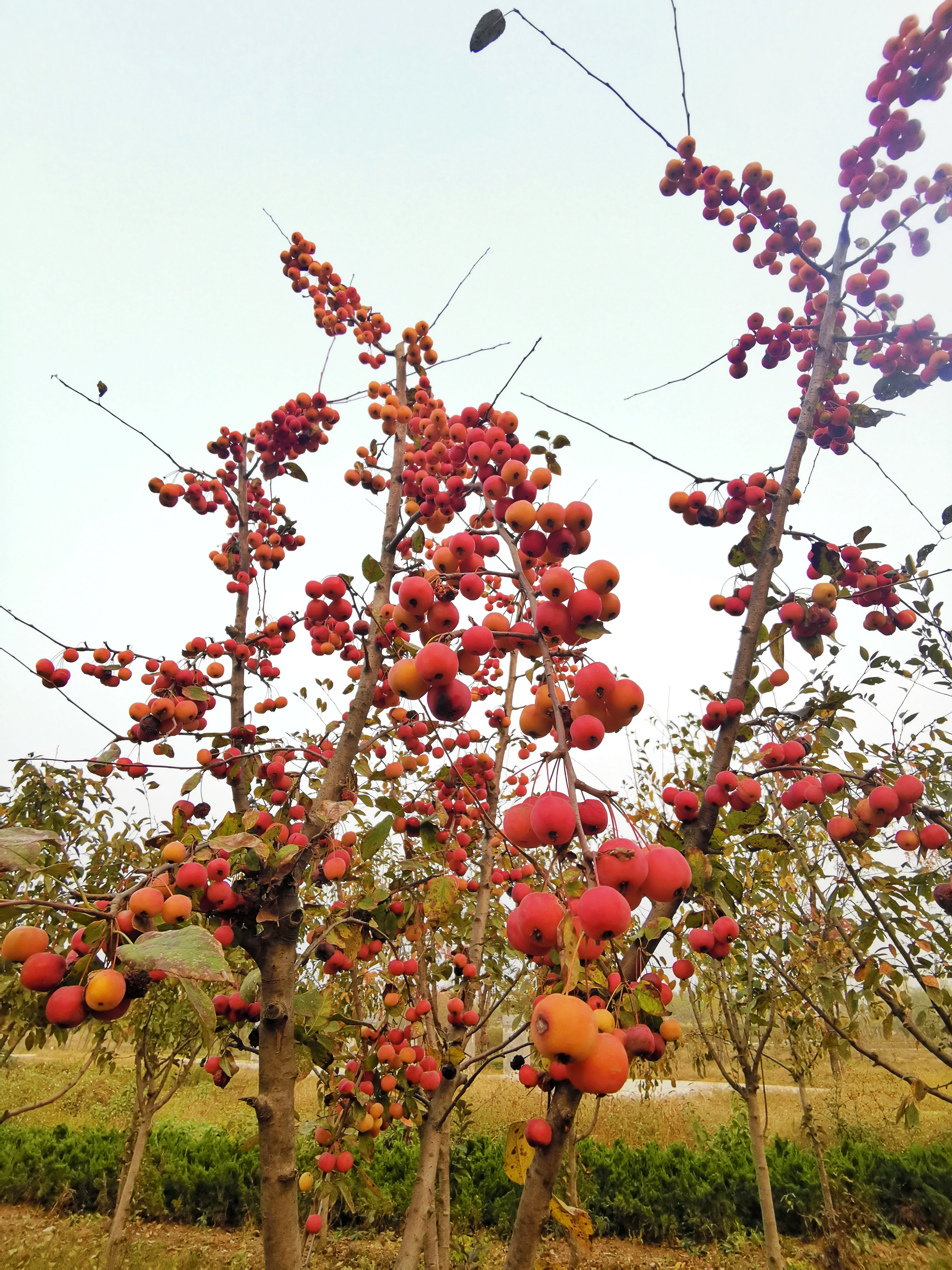 微信图片_20201030160024