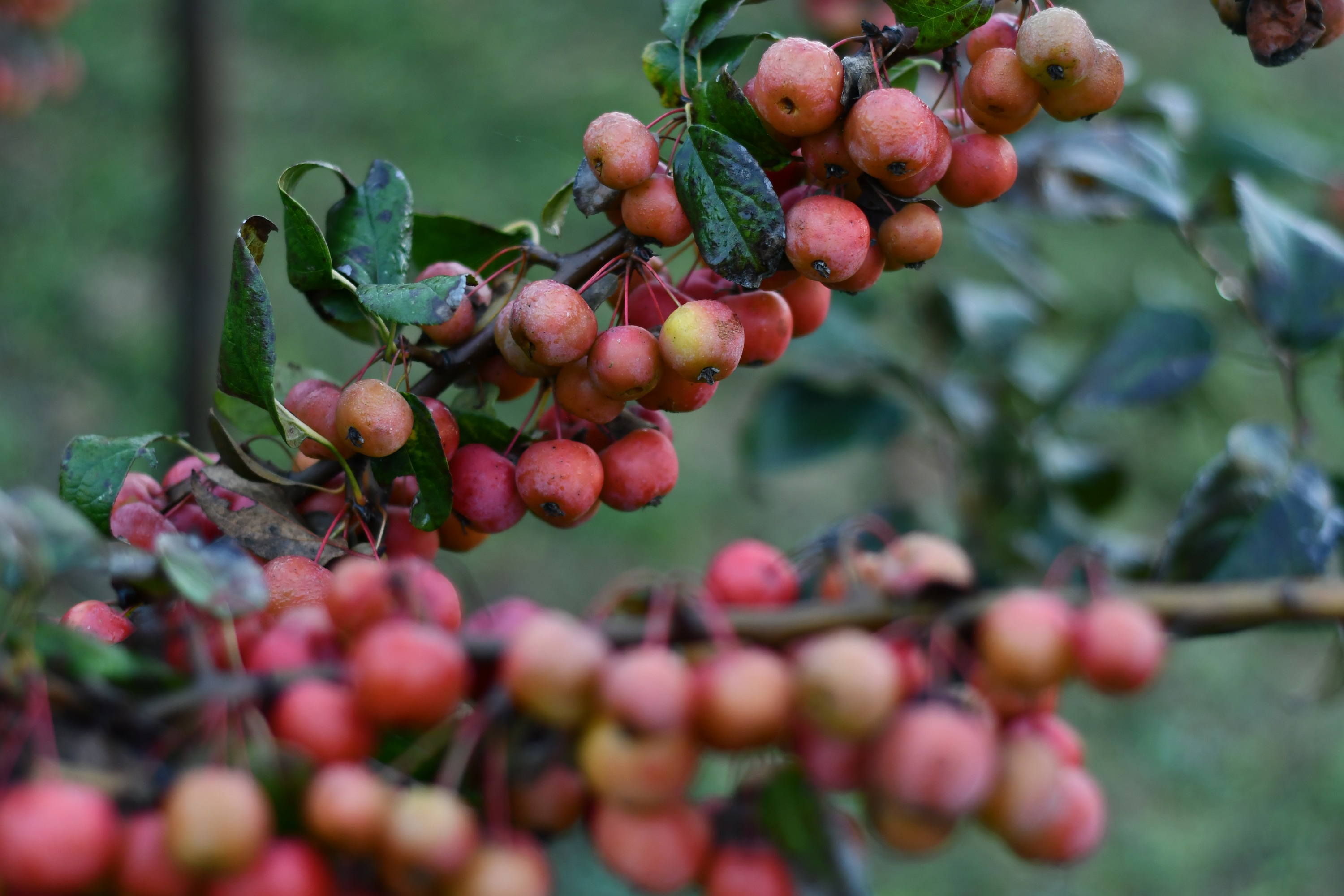 微信图片_20201102153320