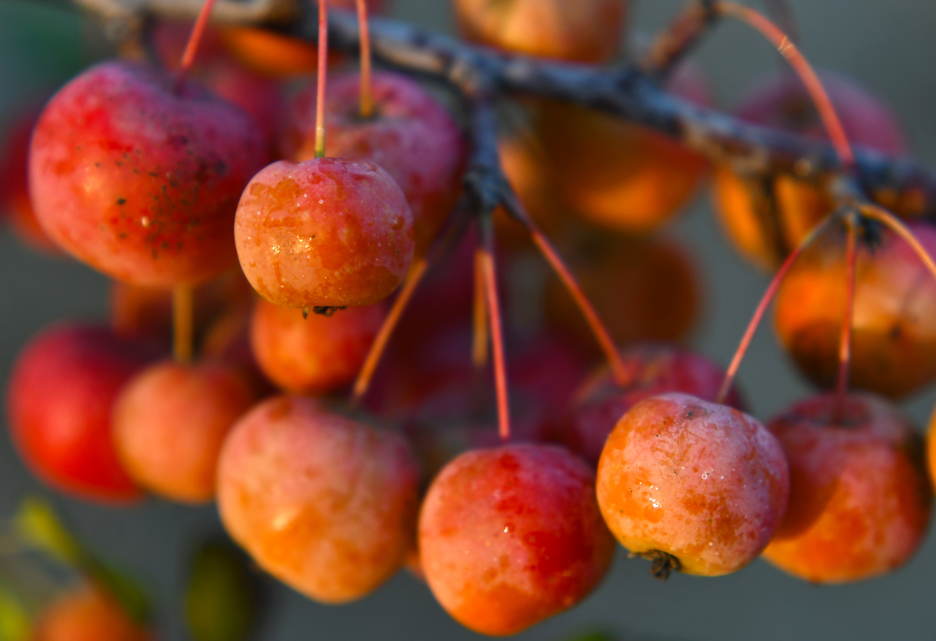 微信图片_20201102153341