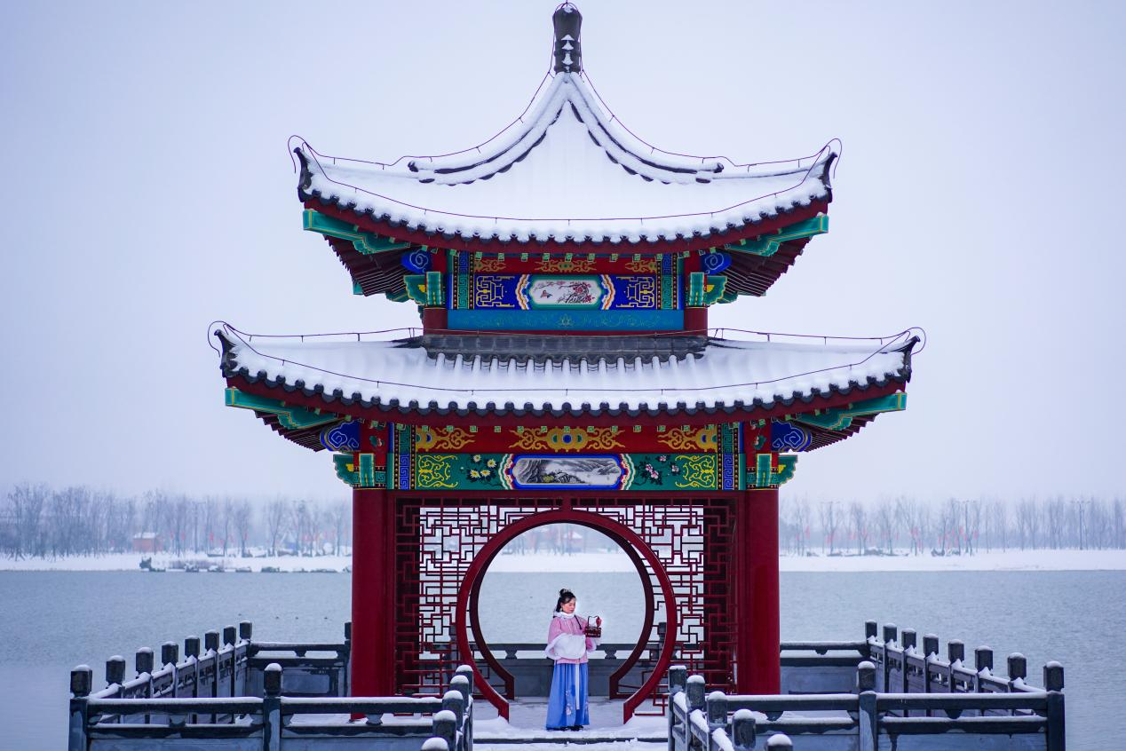 图片5