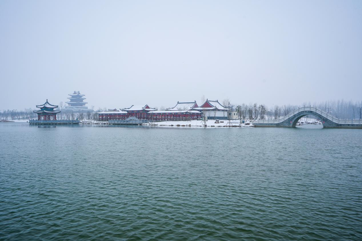 图片13