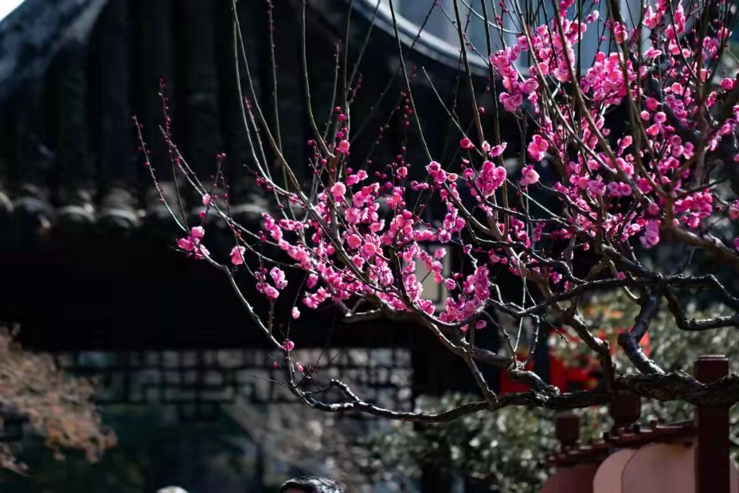 刘洪润(3)